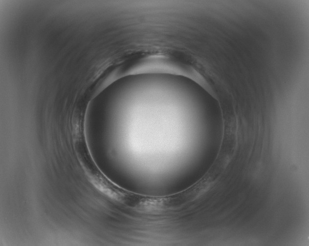 X0000081370084200701111559