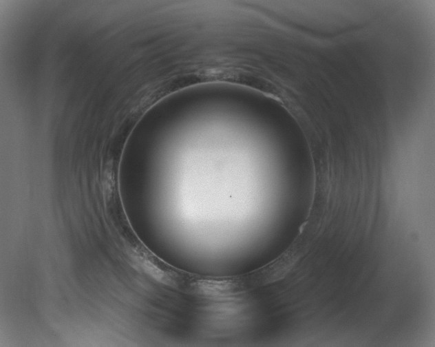 X0000081370085200701111559