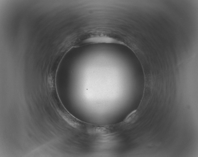 X0000081370086200701111559