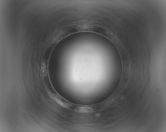 X0000081370087200701111559