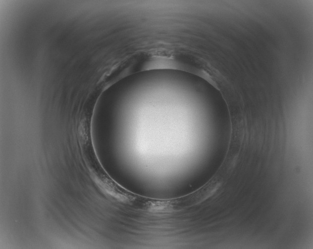 X0000081370088200701111559
