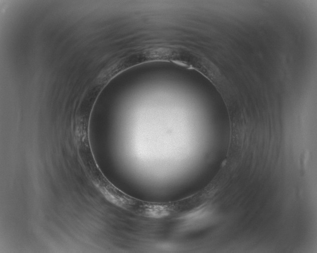 X0000081370091200701111559