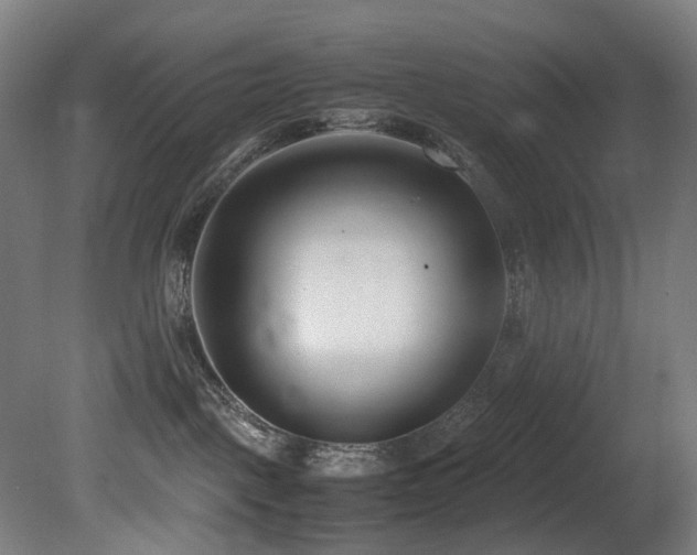X0000081370093200701111559
