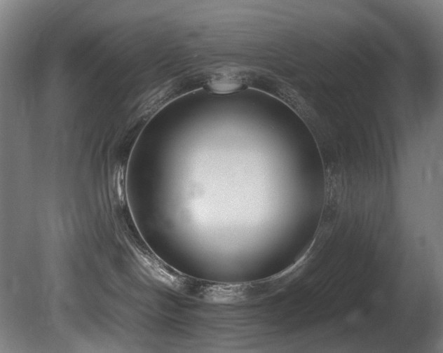 X0000081370094200701111559