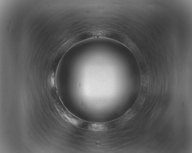 X0000081370095200701111559