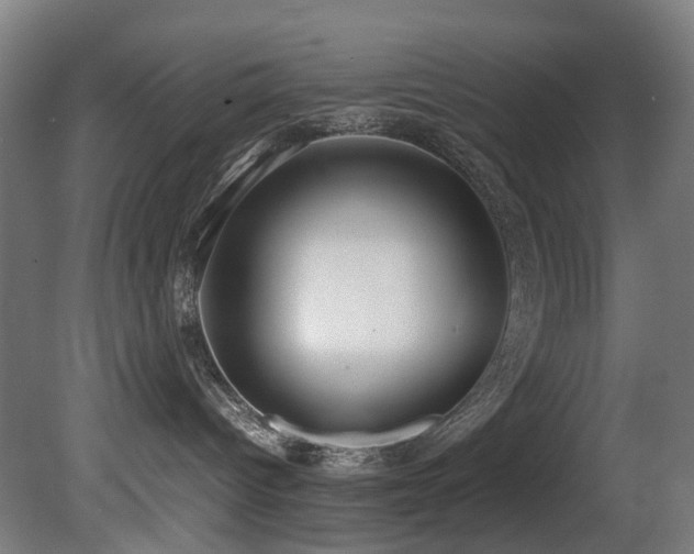X0000081370096200701111559