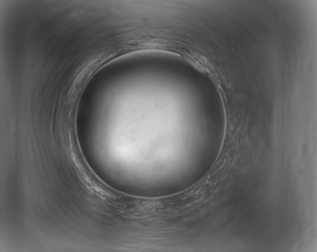 X0000081370097200701111558