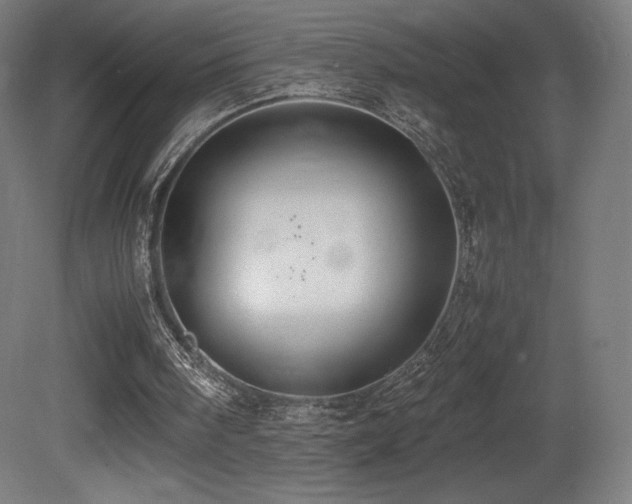 X0000081370098200701111558