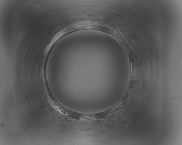 X0000081370099200701111558
