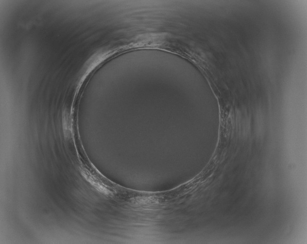 X0000081370100200701111558