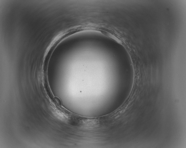 X0000081370102200701111558