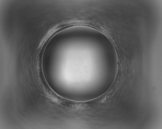 X0000081370103200701111558