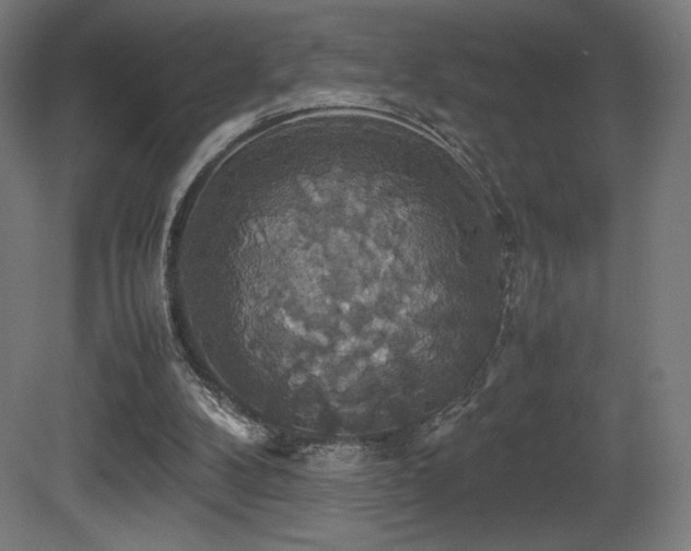 X0000081370104200701111558