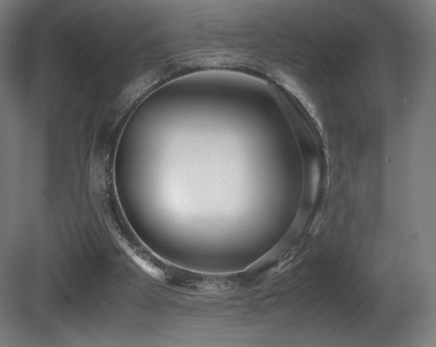 X0000081370105200701111558