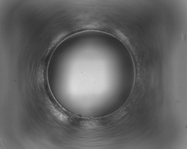 X0000081370106200701111558