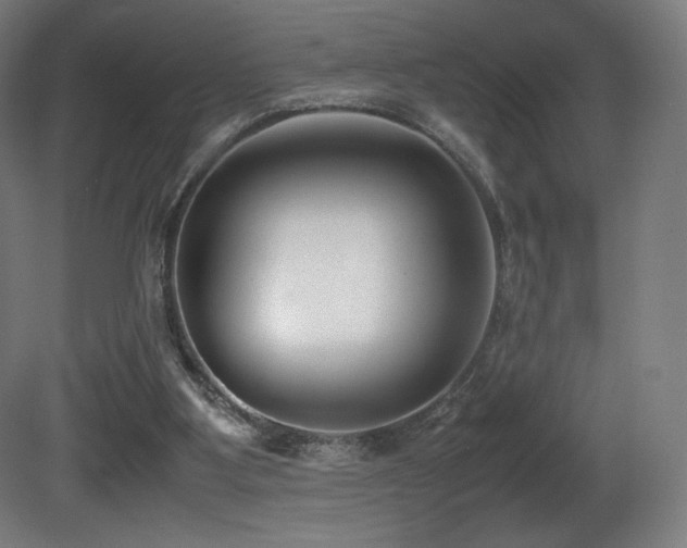 X0000081370107200701111558