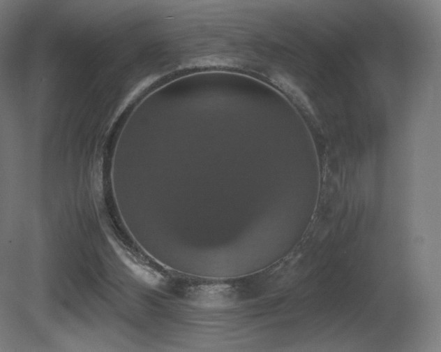 X0000081370108200701111558