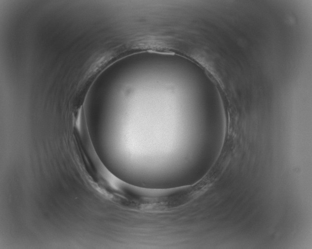 X0000081370109200701111558