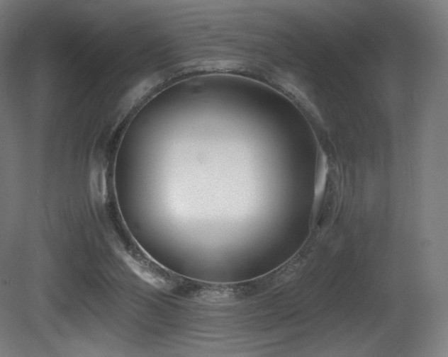 X0000081370110200701111558
