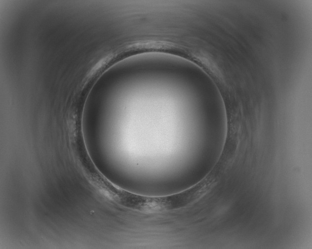 X0000081370111200701111558