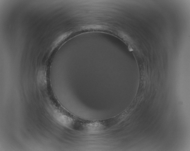 X0000081370112200701111558
