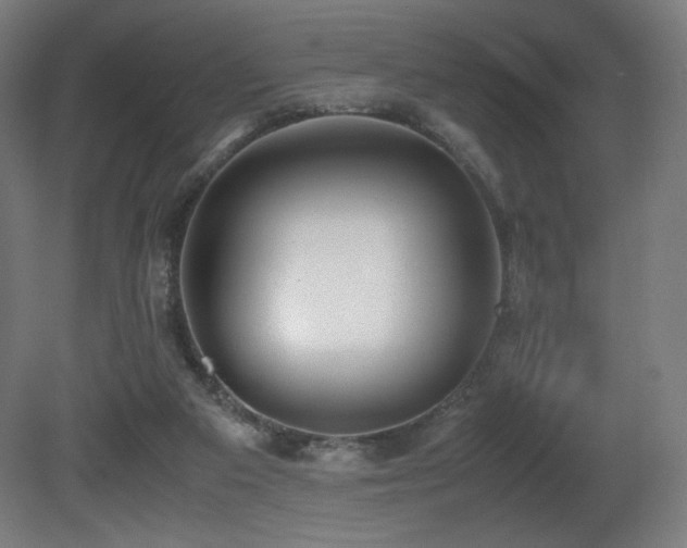 X0000081370113200701111558
