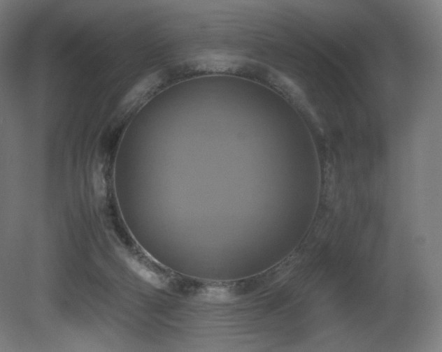 X0000081370114200701111558