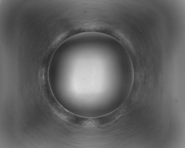 X0000081370115200701111558
