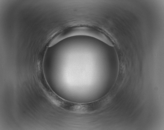 X0000081370117200701111558