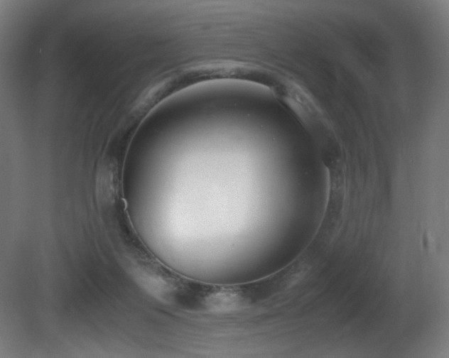 X0000081370119200701111558