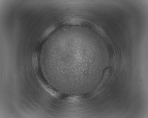 X0000081370120200701111558