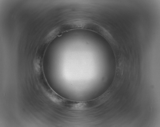 X0000081370122200701111558
