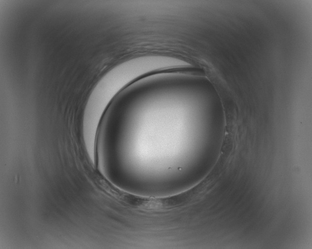 X0000081370123200701111558