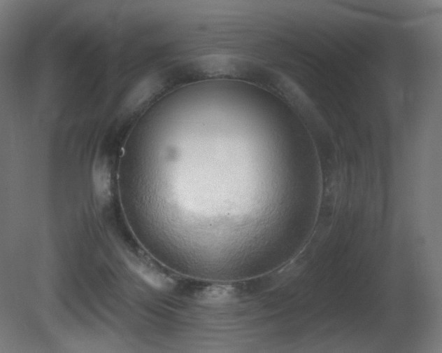 X0000081370124200701111558
