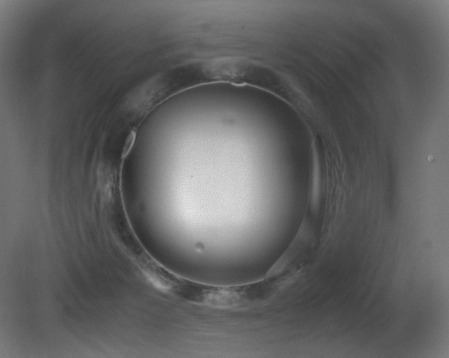 X0000081370125200701111558