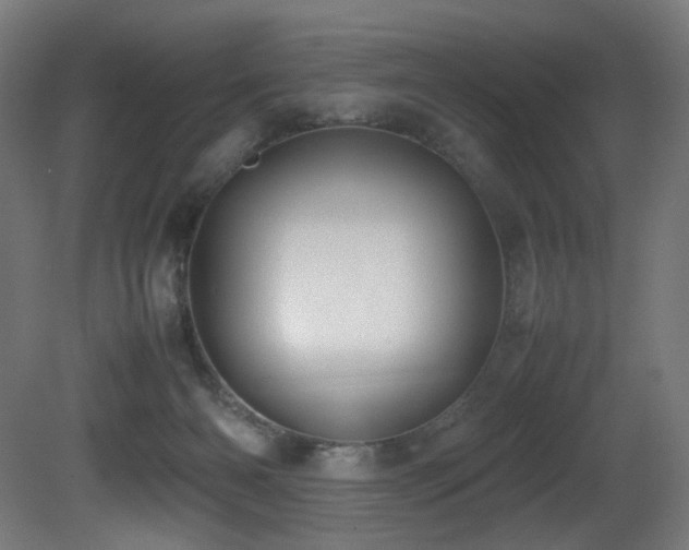 X0000081370126200701111558