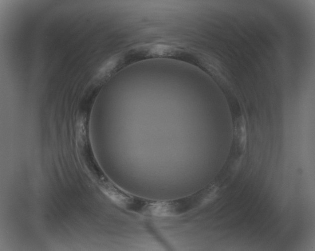 X0000081370127200701111558