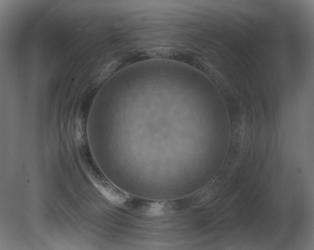 X0000081370130200701111558