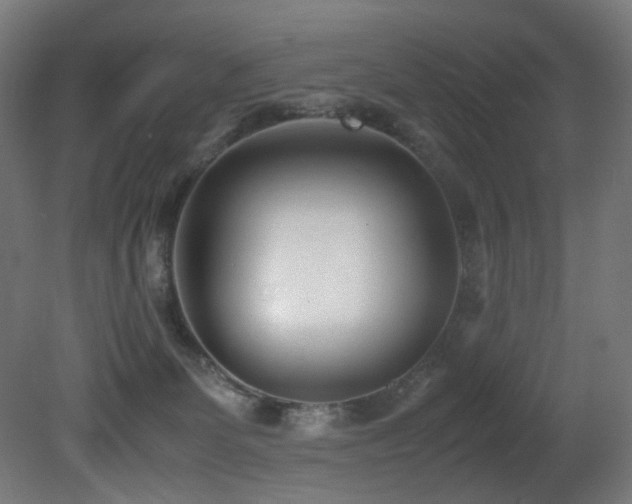 X0000081370131200701111558
