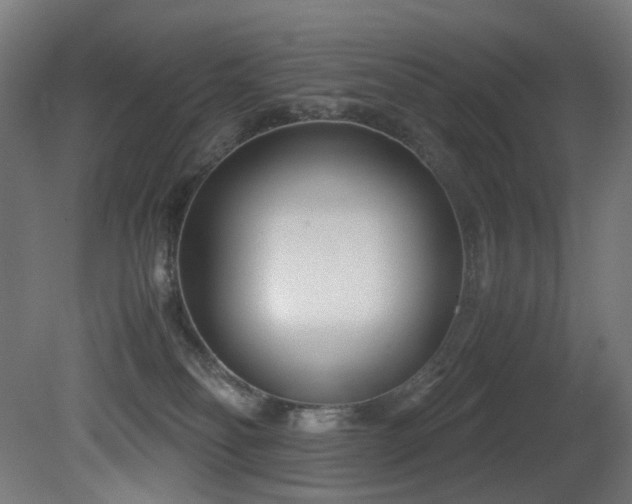 X0000081370134200701111558