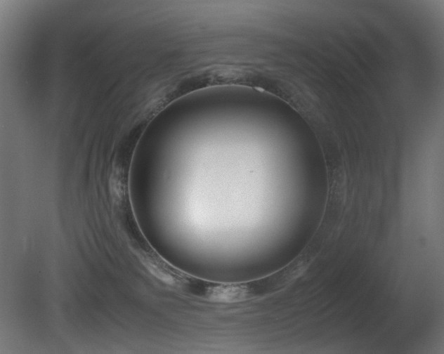 X0000081370135200701111558