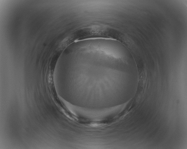 X0000081370137200701111558