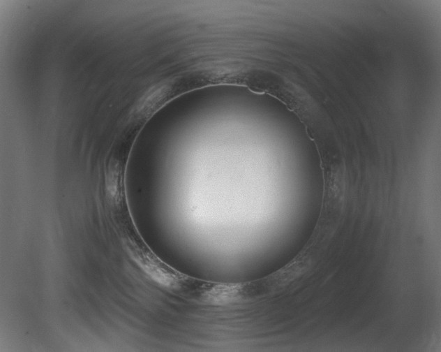 X0000081370138200701111558