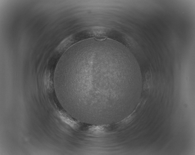 X0000081370140200701111558