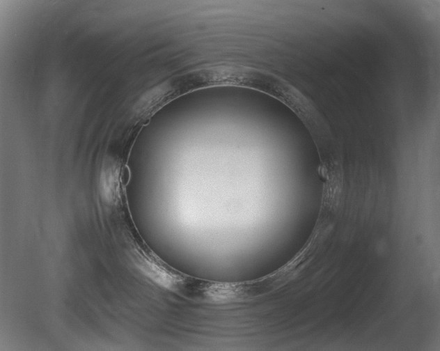 X0000081370142200701111558