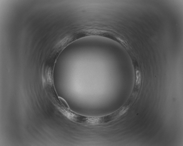 X0000081370143200701111558