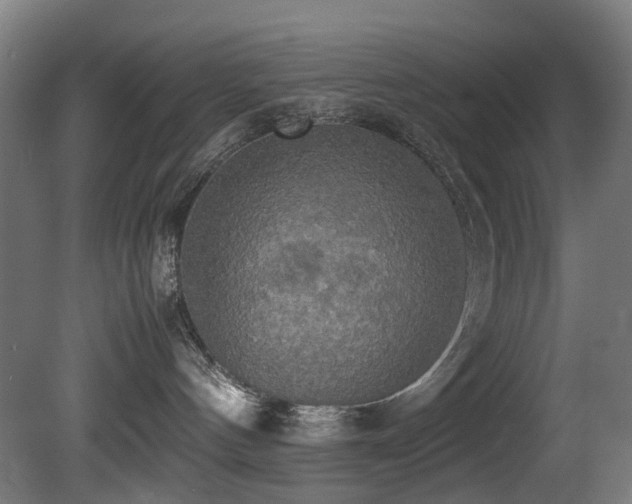 X0000081370144200701111558