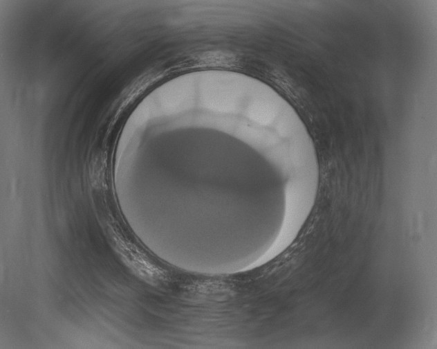 X0000081370146200701111557