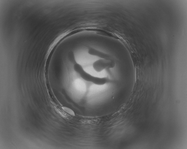 X0000081370147200701111557