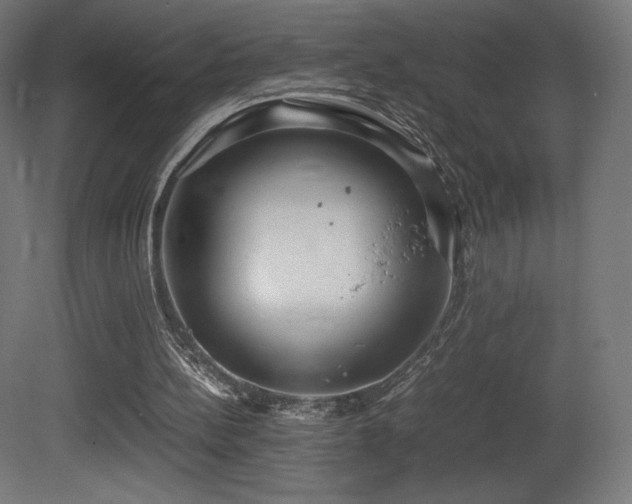 X0000081370148200701111557